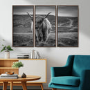 Fluffy Cattle Wall Art Print, Highland Cow Canvas, Framed by MyGreatCanvas | Canvas Wall Art Prints | Photo Prints & Wall Decor