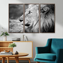 African Lion Wall Art Canvas Print – Majestic Wildlife