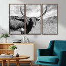 Cattle Wall Art Longhorn Cow Canvas Print