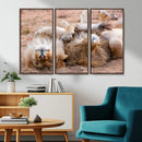 Lion Pair Wall Art Canvas Print – Framed Wildlife Scene with