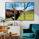 Longhorn and Cow Wall Art, Country Cow Wall Decor Canvas by MyGreatCanvas | Canvas Wall Art Prints | Photo Prints & Wall Decor