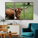 Longhorn Steer Canvas Wall Art – Rustic Nature Triptych
