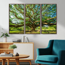Majestic Oak Tree Wall Art – Serene Nature Canvas Print with