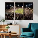 Washington-Grizzly Stadium Canvas Wall Art – Exciting Game