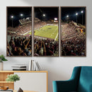 Washington-Grizzly Stadium Canvas Wall Art – Exciting Game