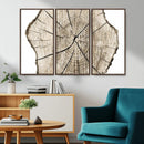 Abstract Wood Tree Ring Wall Art - Ready to Hang Minimalist