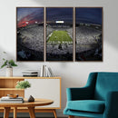 Penn State University Nittany Lions Football Team Print -
