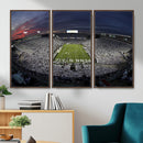 Penn State University Nittany Lions Football Team Print -