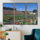 University of Missouri Tigers Football Team Print - Columbia