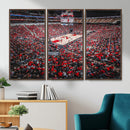 Louisville Cardinals Basketball Print Canvas - Louisville