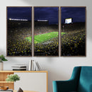 Michigan Wolverines Football Canvas Wall Decor, Football