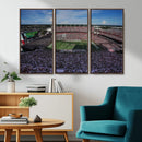 South Carolina Gamecocks Football Team Print - Columbia