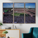 South Carolina Gamecocks Football Team Print - Columbia