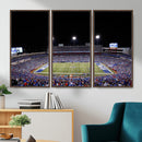 Buffalo Bills Wall Art - Buffalo Bills Stadium Canvas Print,