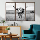 Texas Cow Longhorn Wall Art Canvas Print for Farm House Wall