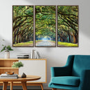 Wormsloe State Plantation Driveway Wall Art Canvas Print