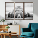 Resting Grizzly Bear Wall Art Canvas Print – Majestic Lazy by MyGreatCanvas | Canvas Wall Art Prints | Photo Prints & Wall Decor