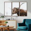 Rustic Bull Wall Art Canvas Print – Modern Longhorn