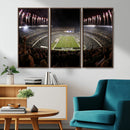 Eagles Field Stadium Wall Art - Philadelphia Eagles Football