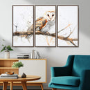 Barn Owl Wall Art on Branch | Stunning Canvas Print for
