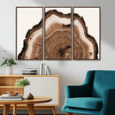 Rustic Wood Rings Wall Art | Nature-Inspired Tree Ring