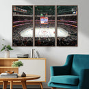 Honda Center California Anaheim Ducks Ice Hockey Stadium