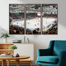 Lausanne Arena Ice Hockey Stadium Wall Art Canvas Print,