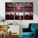 Carolina Hurricanes Ice Hockey Stadium Wall Art, Carolina