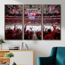 Carolina Hurricanes Ice Hockey Stadium Wall Art, Carolina