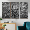 Majestic Angel Oak Tree Black and White Canvas Print – Multi by MyGreatCanvas | Canvas Wall Art Prints | Photo Prints & Wall Decor
