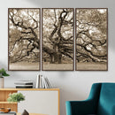 Sepia Framed Angel Oak Tree Wall Art - 3-Panel Canvas