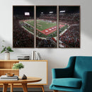 Houston Cougars Football Team Print - Houston TDECU Stadium