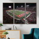 Houston Cougars Football Team Print - Houston TDECU Stadium