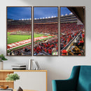 Wisconsin Badgers Football Team Print - Madison Camp Randall