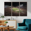 Wisconsin Badgers Football Team Print - Madison Camp Randall