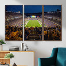 Pittsburgh Panthers Football Team Print - Pittsburgh