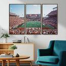 Framed Texas Memorial Stadium Canvas, University of Texas