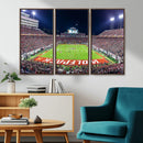 Wolfpack Football Team Print - Raleigh Carter-Finley Stadium