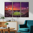 East Carolina University Pirates Football Print Canvas-