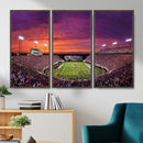 East Carolina University Pirates Football Print Canvas-