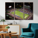 Florida Atlantic University Owls Canvas Print, Football Team by MyGreatCanvas | Canvas Wall Art Prints | Photo Prints & Wall Decor