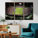 Florida Atlantic University Owls Football Team Print - Boca by MyGreatCanvas | Canvas Wall Art Prints | Photo Prints & Wall Decor