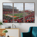 University of Illinois Fighting Illini Football Team Print -