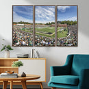 University of Charlotte 49ers Football Team Print - by MyGreatCanvas | Canvas Wall Art Prints | Photo Prints & Wall Decor