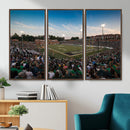 University of Charlotte 49ers Football Team Print -