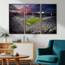 Penn State Nittany Lions Football Team Print - University