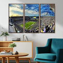 Framed USF Bulls Football Team Print - Tampa Raymond James by MyGreatCanvas | Canvas Wall Art Prints | Photo Prints & Wall Decor