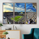 Framed USF Bulls Football Team Print - Tampa Raymond James