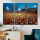 Clemson University Tigers Football Team Print - Clemson