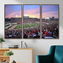 Indiana University Hoosiers Football Team Print -